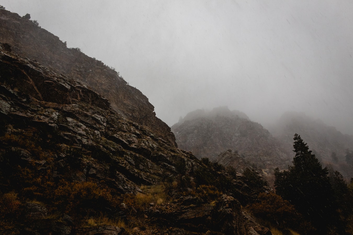 The ride-hailing app had been facing a driver shortage driver shortage